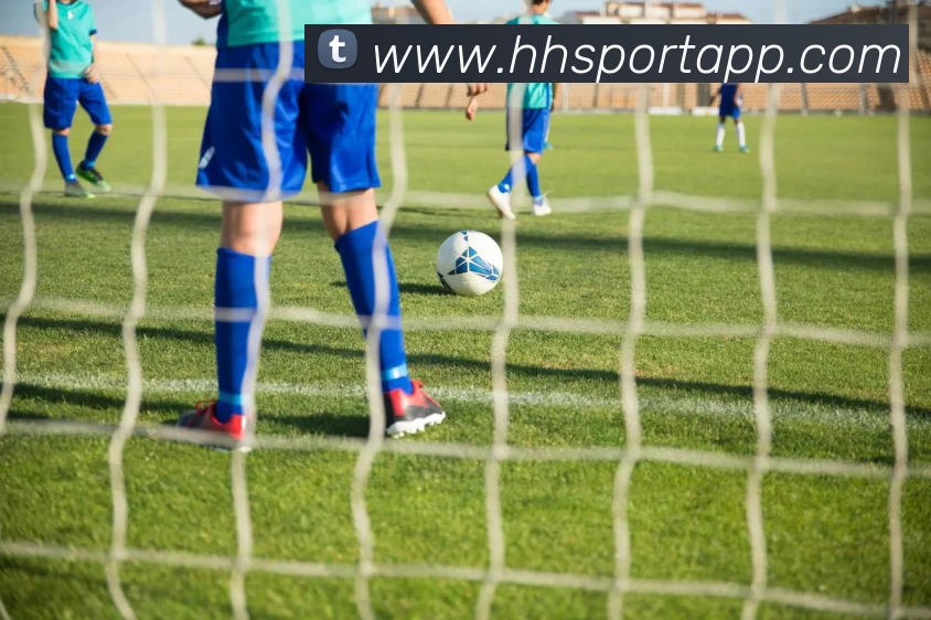 火狐体育APP平台生态图